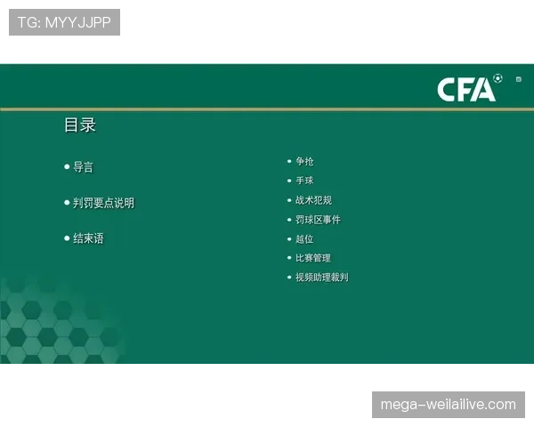 裁判尺度在足球判罚中的关键影响及标准解析 裁判尺度在足球判罚中的关键影响及标准解析