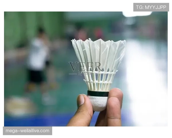 门线判定要点：球须完全越过球门线与技术介入的判罚逻辑