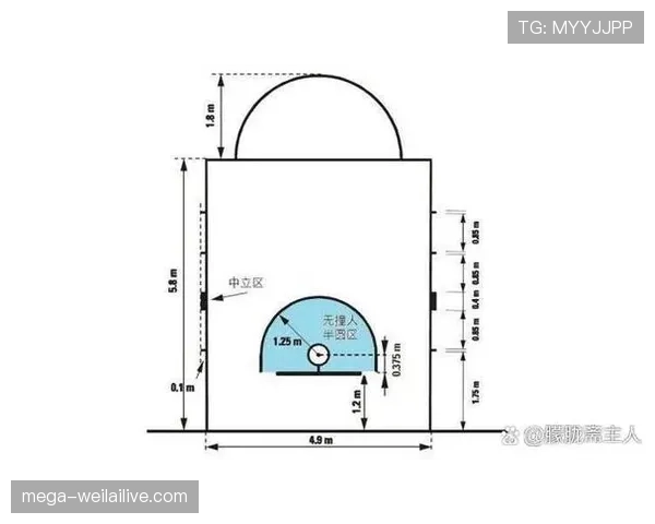 解读合理冲撞区规则：防守犯规与进攻犯规的界定