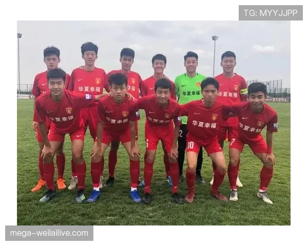 青训规则中关键的年龄分组与比赛限制解析 青训规则中关键的年龄分组与比赛限制解析
